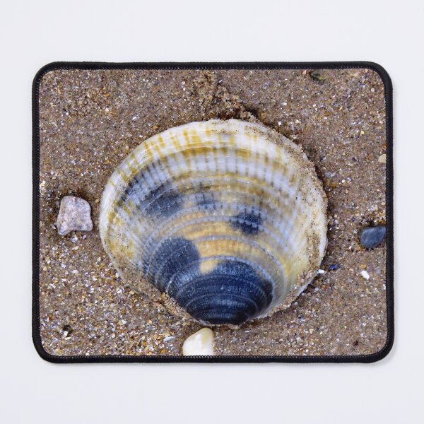 Item preview, shell designed and sold by KathleenDawson.