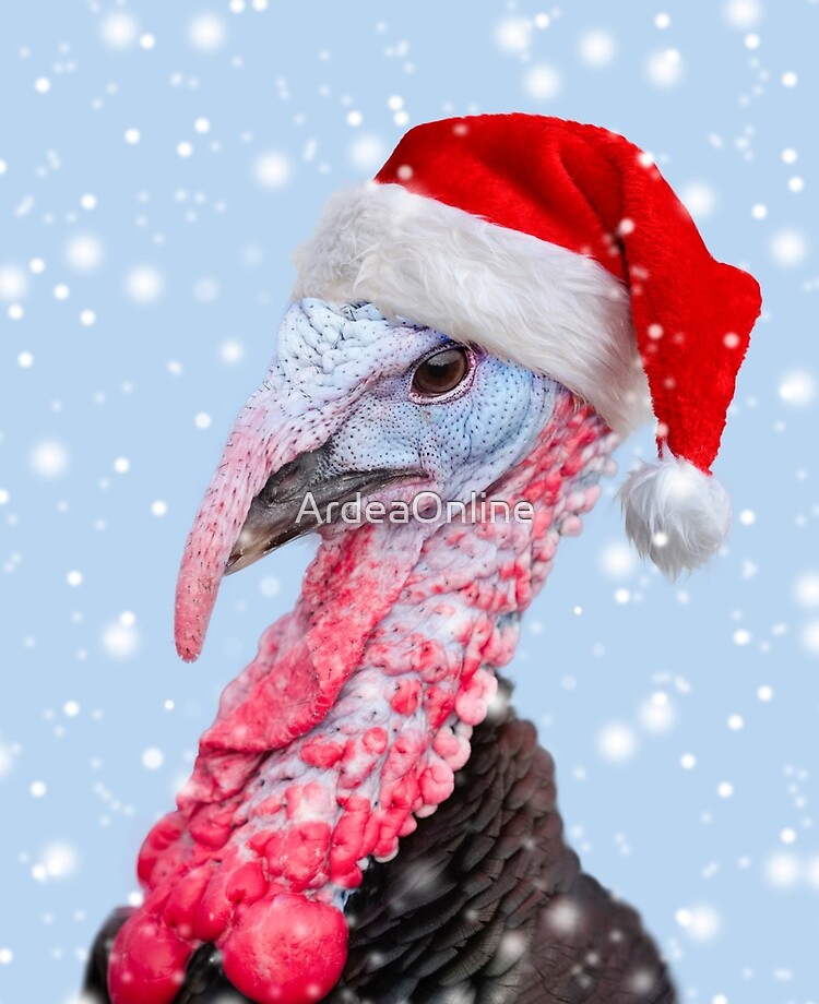 turkey wearing christmas hat