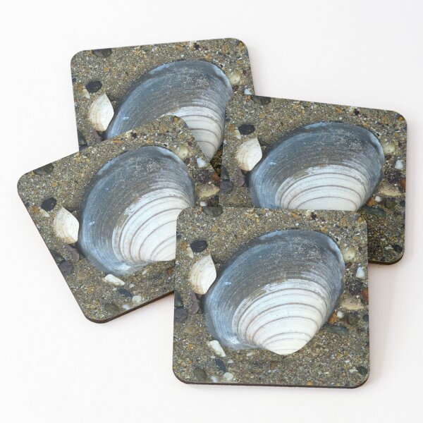 Item preview, shell  designed and sold by KathleenDawson.