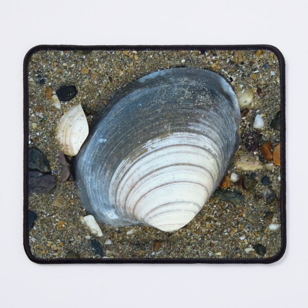 Item preview, shell designed and sold by KathleenDawson.