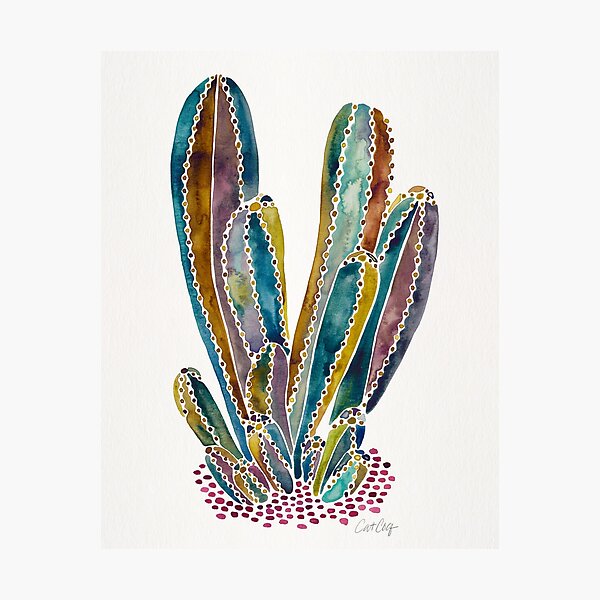 Cactus Cluster – Vintage Palette Photographic Print