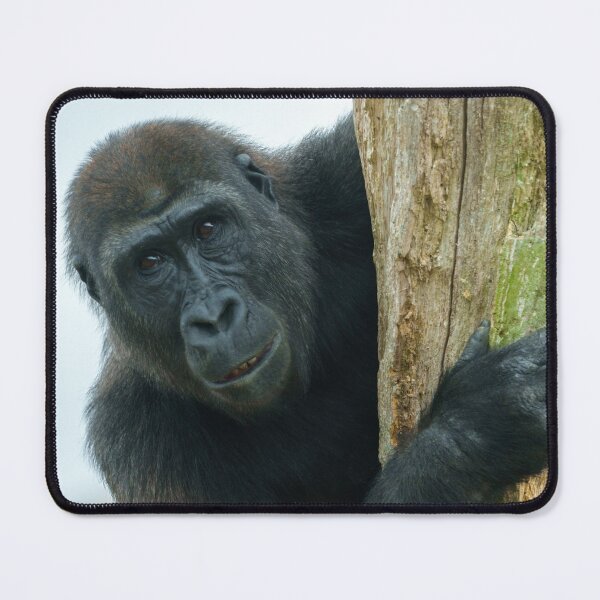Item preview, Gorilla Behind The Tree designed and sold by rawshutterbug.