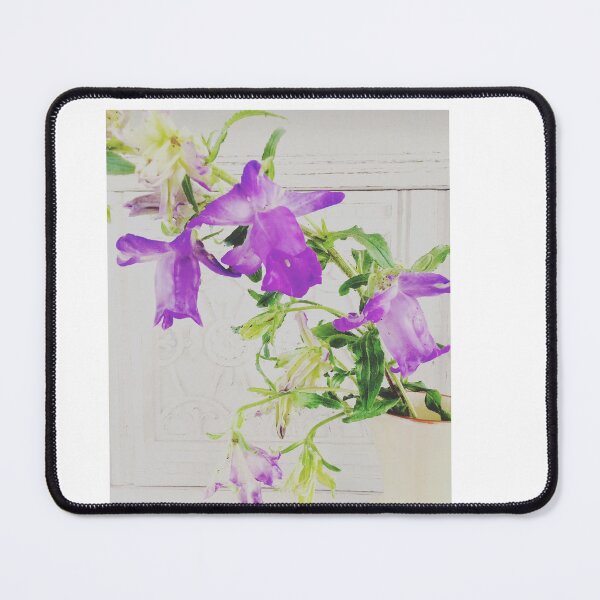 Item preview, Allotment Campanula designed and sold by AllotmentCapers.