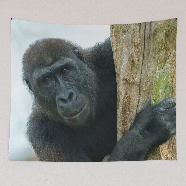 Item preview, Gorilla Behind The Tree designed and sold by rawshutterbug.
