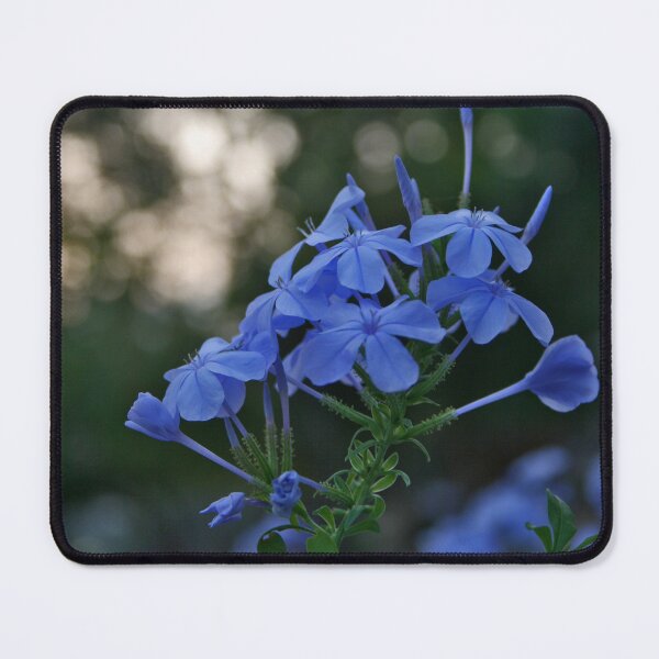 Item preview, Light of Reflecting...Calmness...  designed and sold by Nira Dabush.