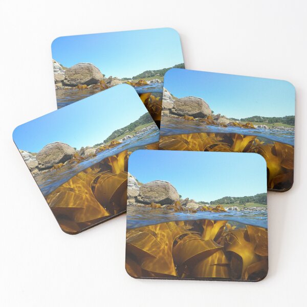 Item preview, Coastline and kelp algae in the ocean over under water designed and sold by Seaphotoart.