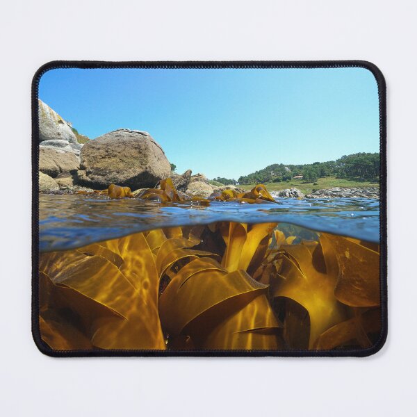 Item preview, Coastline and kelp algae in the ocean over under water designed and sold by Seaphotoart.