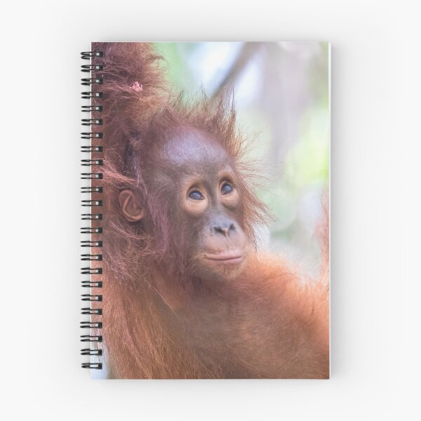Item preview, Indonesian Baby Orangutan designed and sold by Kimberleyjane85.