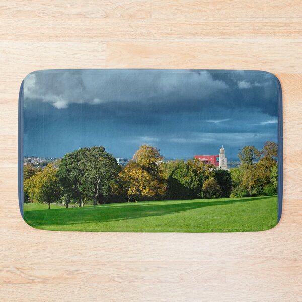 Item preview, Barnsley Locke Park View designed and sold by Alisonchambers2.