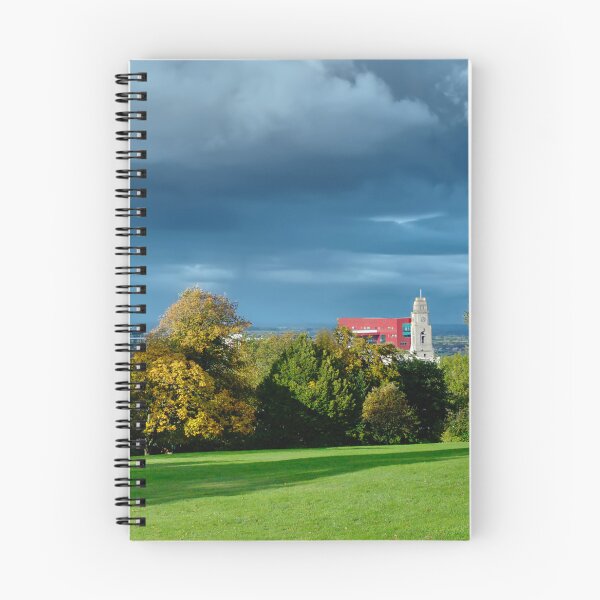 Item preview, Barnsley Locke Park View designed and sold by Alisonchambers2.