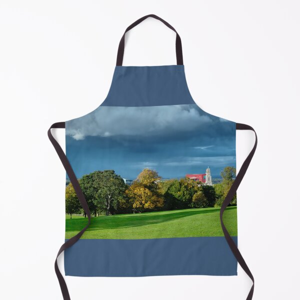Item preview, Barnsley Locke Park View designed and sold by Alisonchambers2.