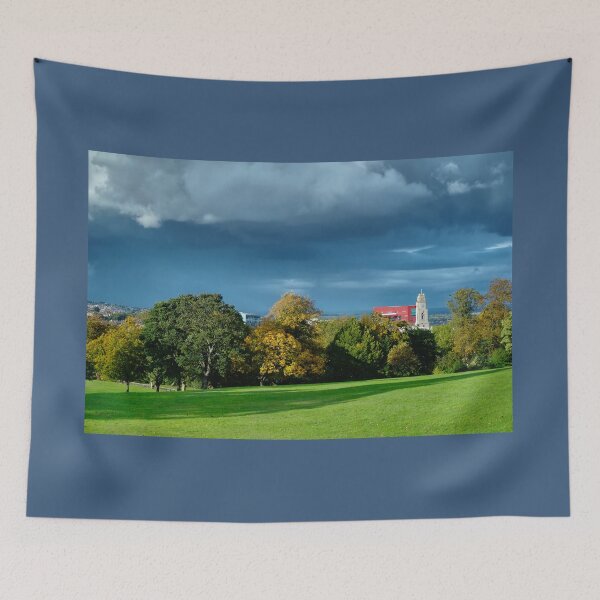Item preview, Barnsley Locke Park View designed and sold by Alisonchambers2.