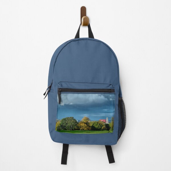 Item preview, Barnsley Locke Park View designed and sold by Alisonchambers2.