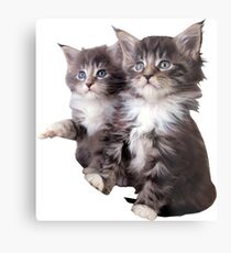 Kittens Metal Print