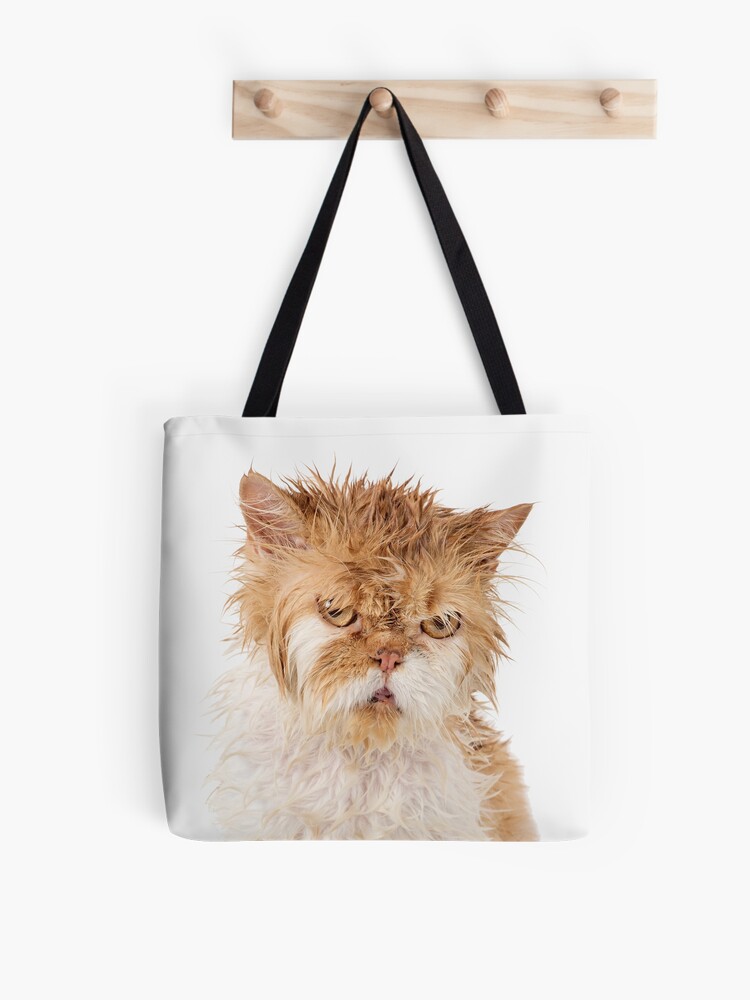 Cat Purse Angry Cat 