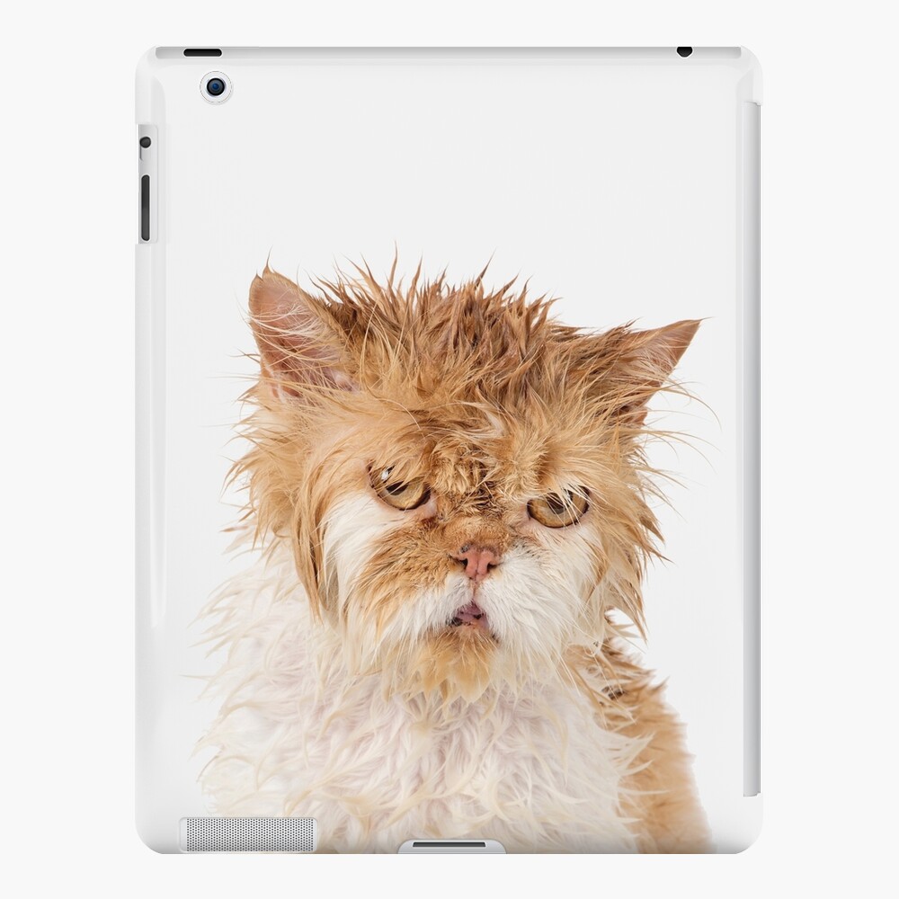 Cat dj iPad Case & Skin for Sale by wildserenity