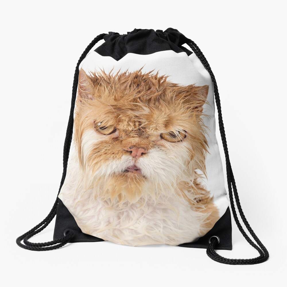 Angry Ginger Maine Coon Cat Gazing on Black background Tote Bag by