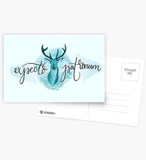 Blue Stag Spell Illustration Postcards