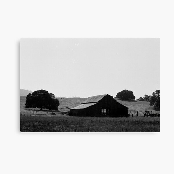 Contentment Canvas Print