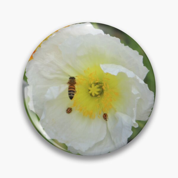 Item preview, Carnival of Flowers poppies designed and sold by Dominique Tassell.