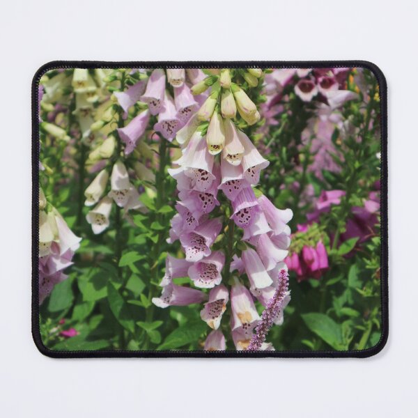 Item preview, Carnival of Flowers foxglove designed and sold by Dominique Tassell.
