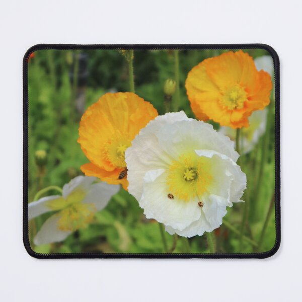 Item preview, Carnival of Flowers poppies designed and sold by Dominique Tassell.