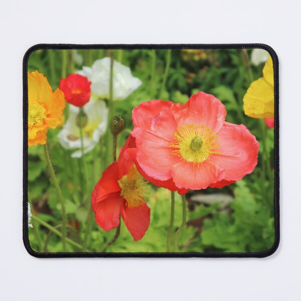 Item preview, Carnival of Flowers poppies designed and sold by Dominique Tassell.