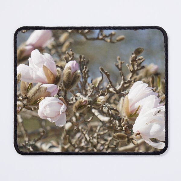 Item preview, Magnolia flowers blossoming on a tree branch - floral designed and sold by Designbyfia.