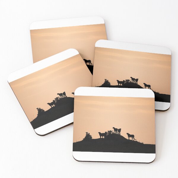 Item preview, The cheetah coalition at sunset designed and sold by Ingo Gerlach.