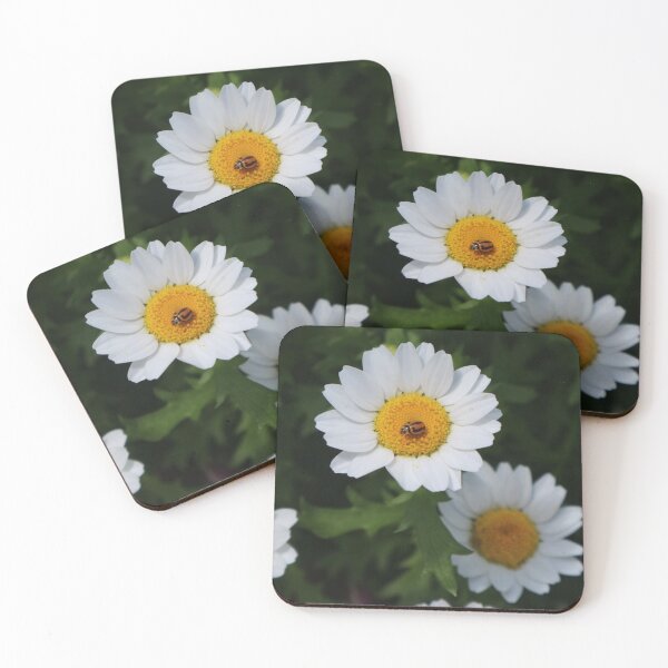 Item preview, Carnival of Flowers daisies designed and sold by Dominique Tassell.