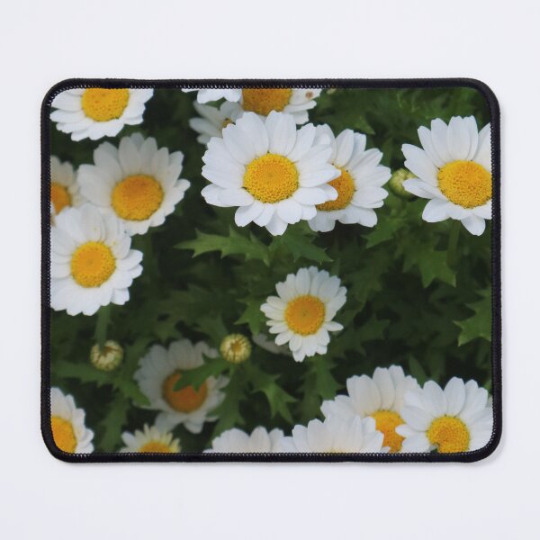 Item preview, Carnival of Flowers daisies designed and sold by Dominique Tassell.