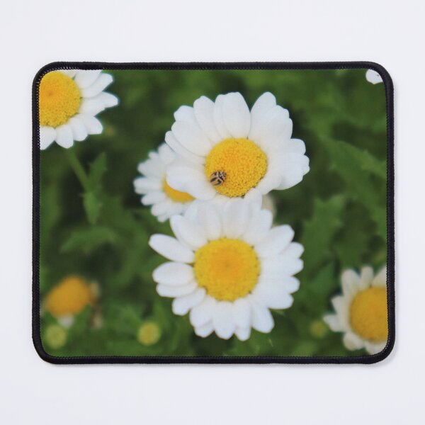 Item preview, Carnival of Flowers daisies designed and sold by Dominique Tassell.