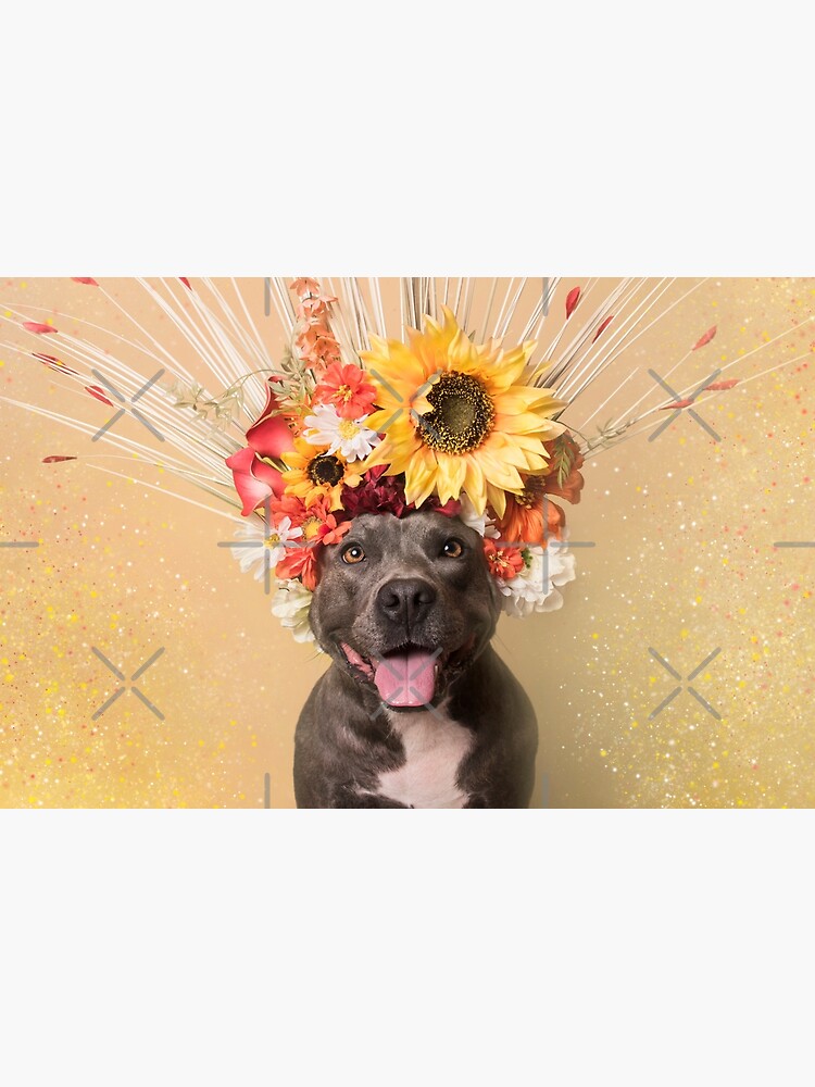 Flower Power, Holiday by SophieGamand