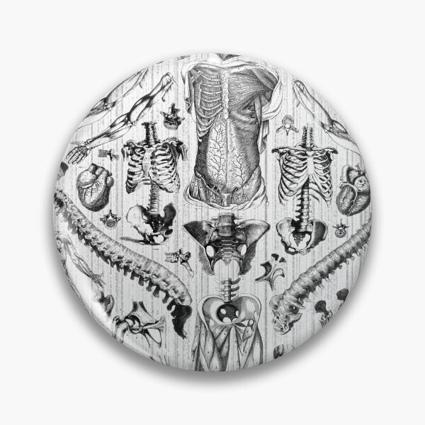 Item preview, Fashion Anatomy Print (black on white) designed and sold by adamcampen.