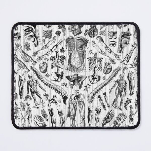 Item preview, Fashion Anatomy Print (black on white) designed and sold by adamcampen.