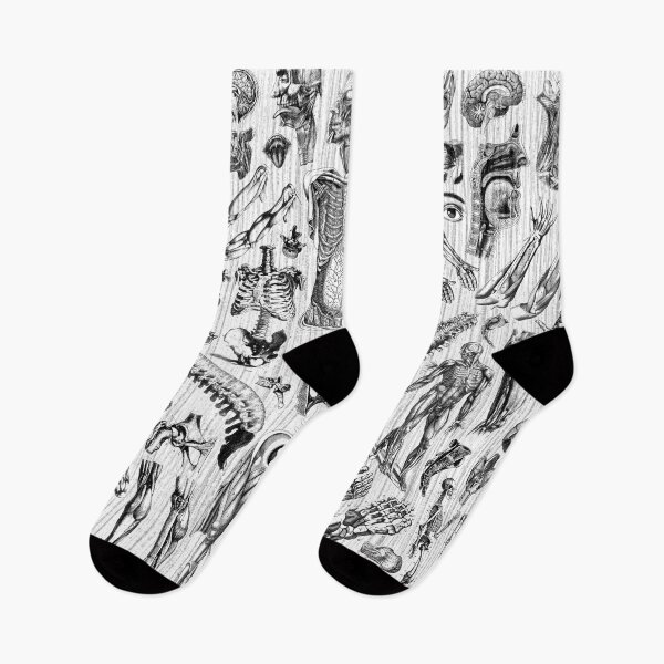 Item preview, Fashion Anatomy Print (black on white) designed and sold by adamcampen.