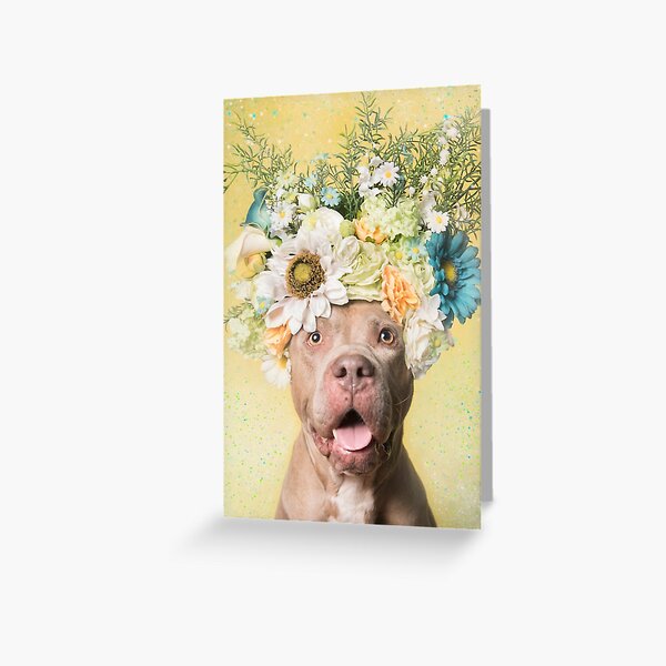 5x7 Red  Brown Pit Bull Happy Birthday Greeting Card Red Nose Pitbull Pittie Pibble FAST SHIPPING