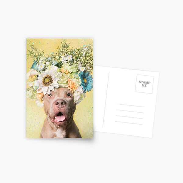 Flower Power, Princess Postcard
