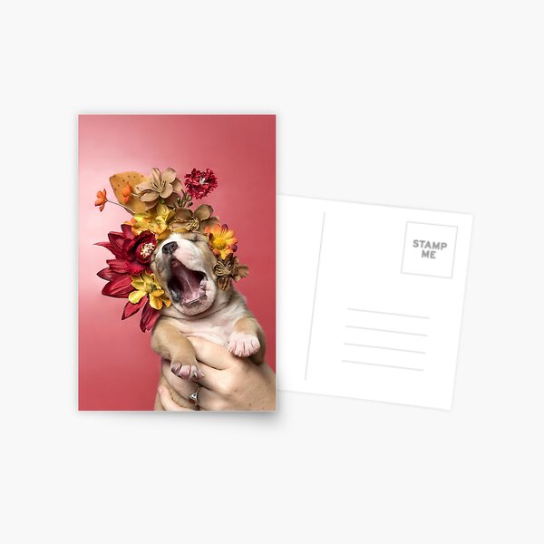 Flower Power, Luvable puppy Postcard