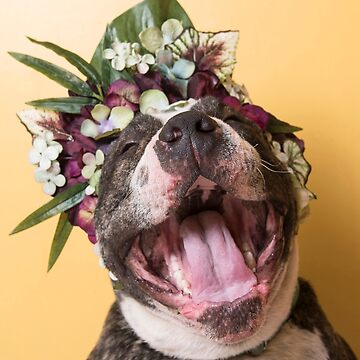 Imagen de la obra Flower Power, Luther riendo. de SophieGamand