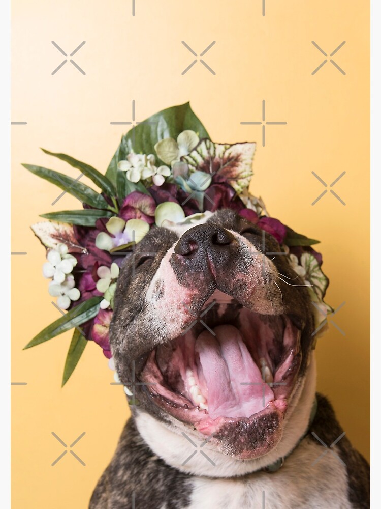 Flower Power, Luther laughing by SophieGamand