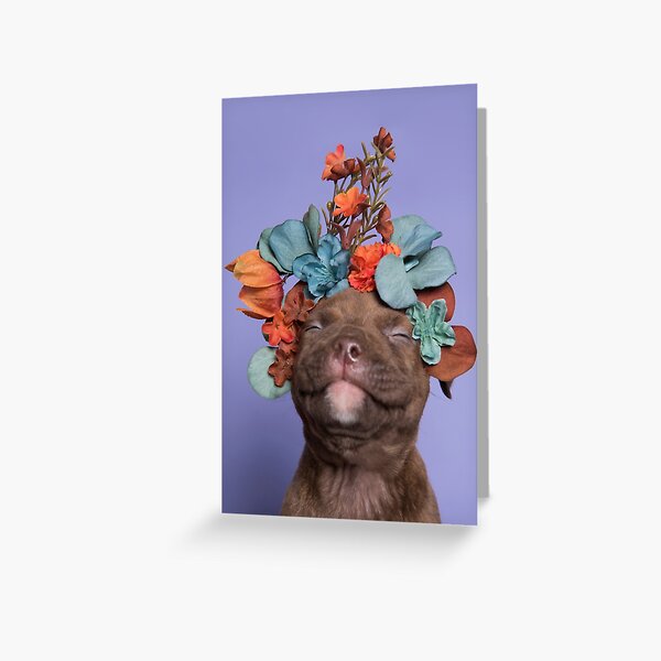 SweetPea, Flower Power Greeting Card