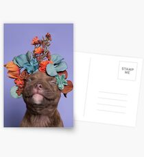 Postales SweetPea, Flower Power