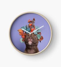 SweetPea, Flower Power Clock