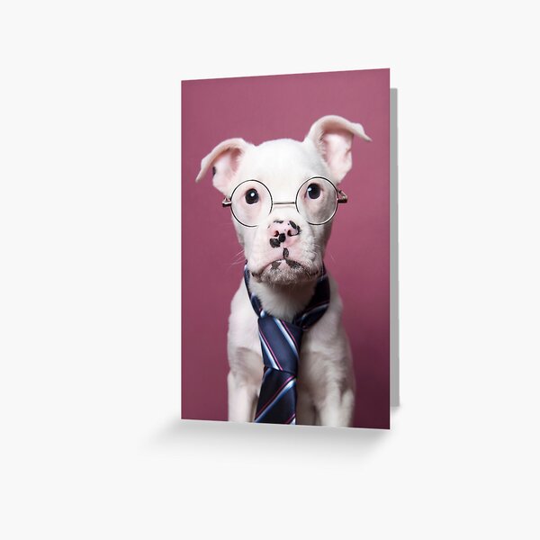 Tucker 2 Greeting Card