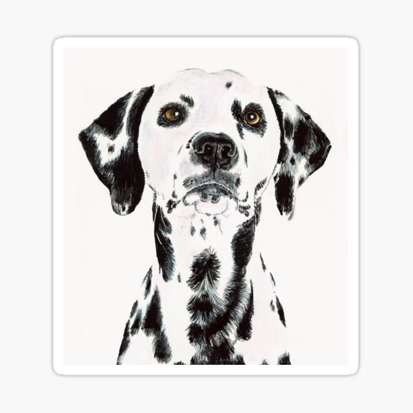 "Dalmatian Dog" Sticker by baconfactory Redbubble