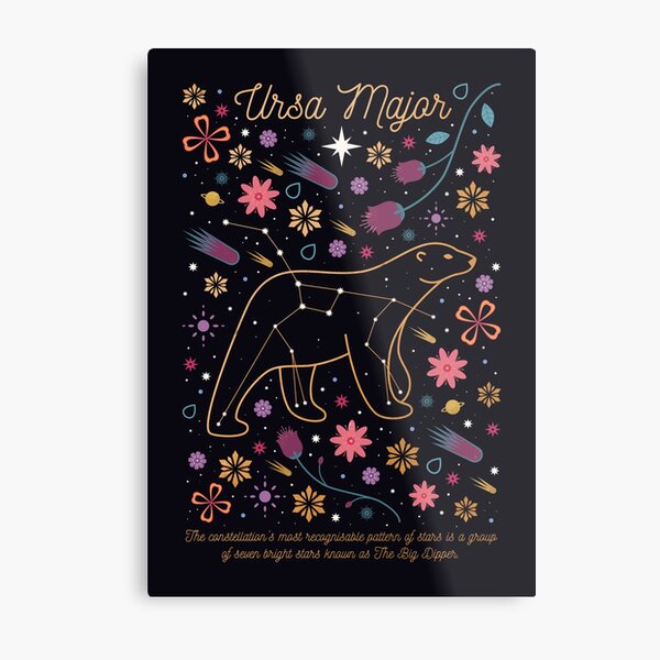 Ursa Major Metal Print