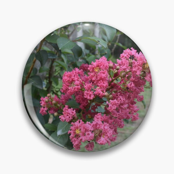 Item preview, Crape-myrtle Bushel designed and sold by Taiga Gigliotti.