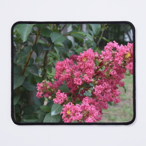 Item preview, Crape-myrtle Bushel designed and sold by Taiga Gigliotti.