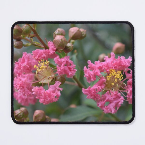 Item preview, Blooming Crape Myrtle designed and sold by Taiga Gigliotti.